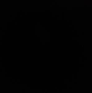 Meet your Posher, Charleston